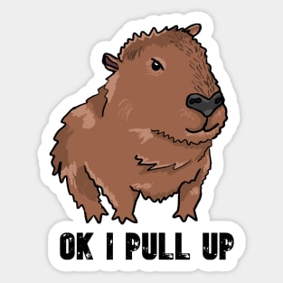 Ok I Pull Up Capybara Sticker